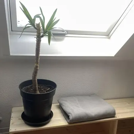 Angenehme Zeit Fur Euch Allein. Lejlighed *
